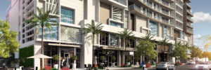 Edgewater Miami Condos Realty Services